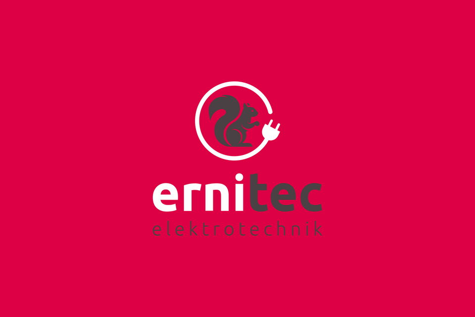 Logo von ernitec